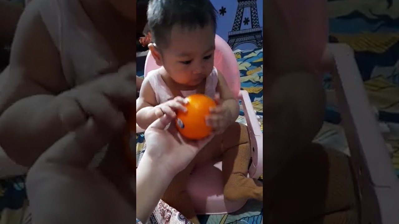 jeruk jumbo || super jumbo 