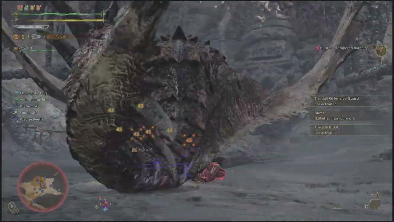 mhwilds 2026-01-07 Hunting Exercise: Tempered Rathalos by gunlance