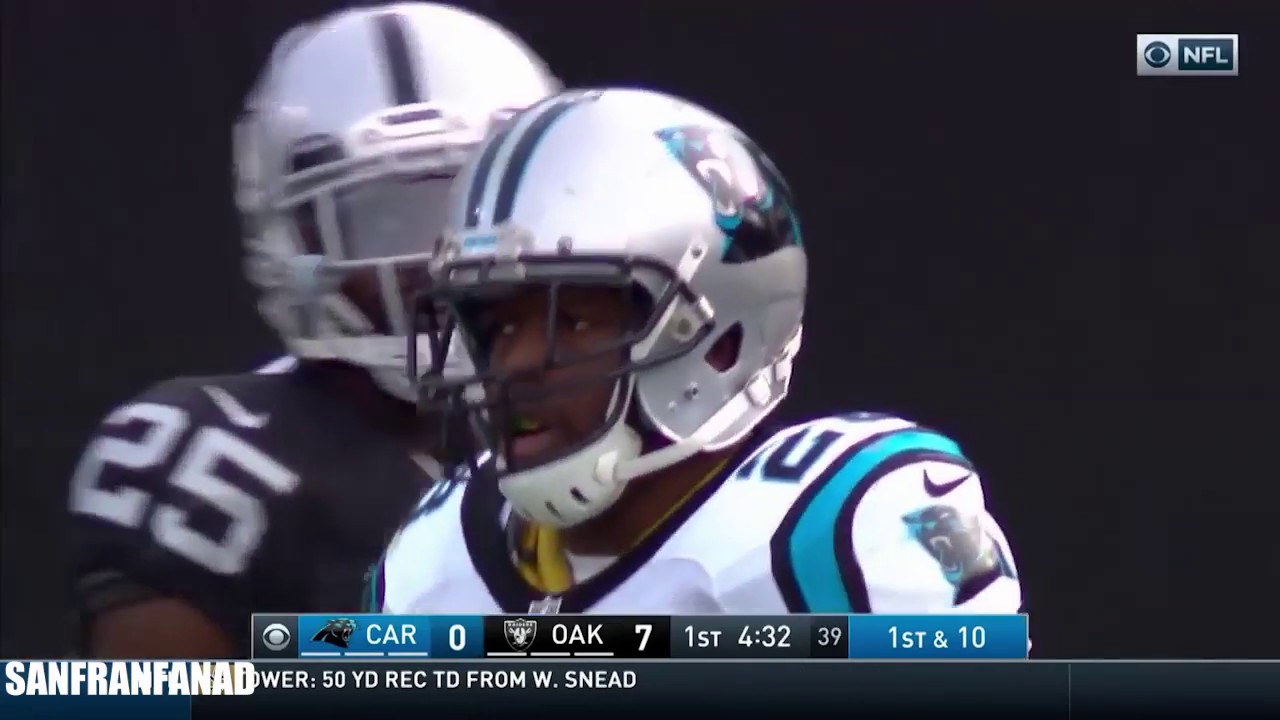 Jonathan Stewart vs Raiders (NFL Week 12 - 2016) - 96 Yards + 2 TDs! | NFL Highlights HD
