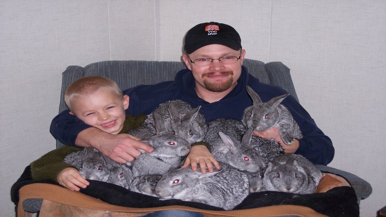 Highland Rabbitry -slideshow 2004-2020
