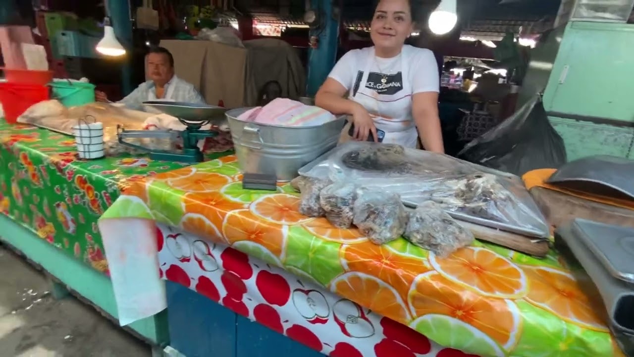 Axochiapan, Morelos ( centro ) 2024