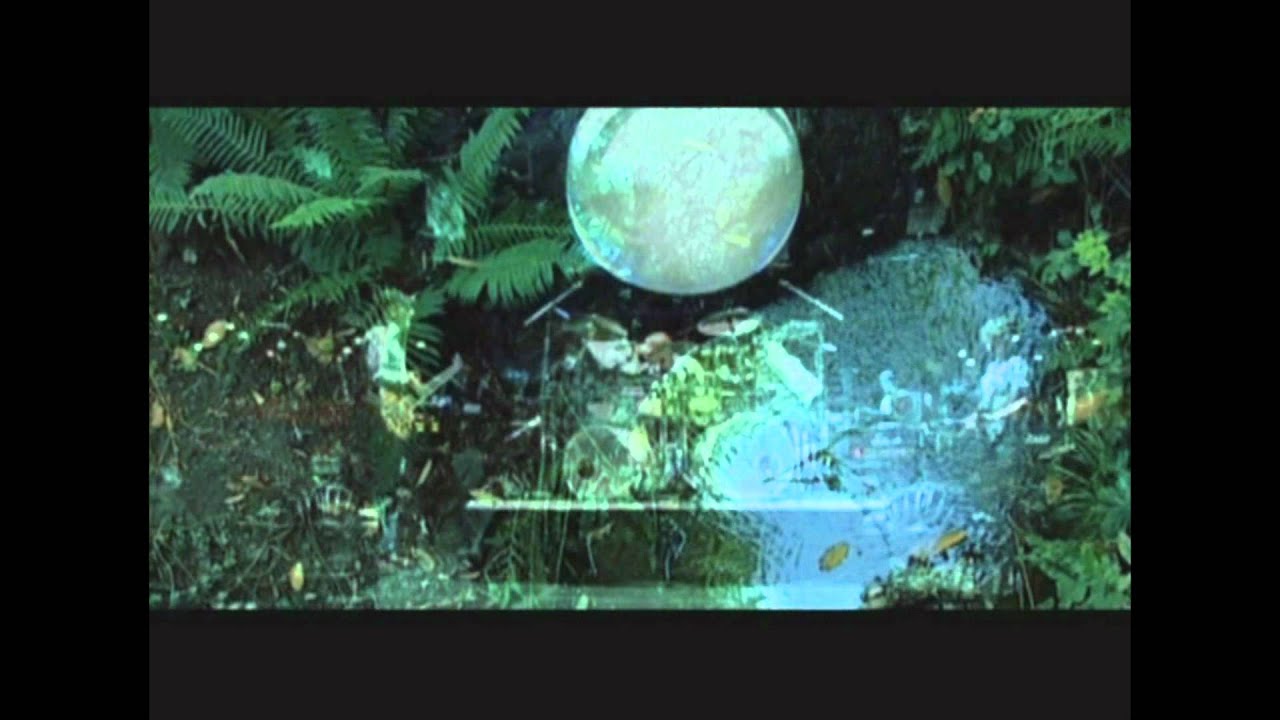 Blame It On The Fish (Intro)