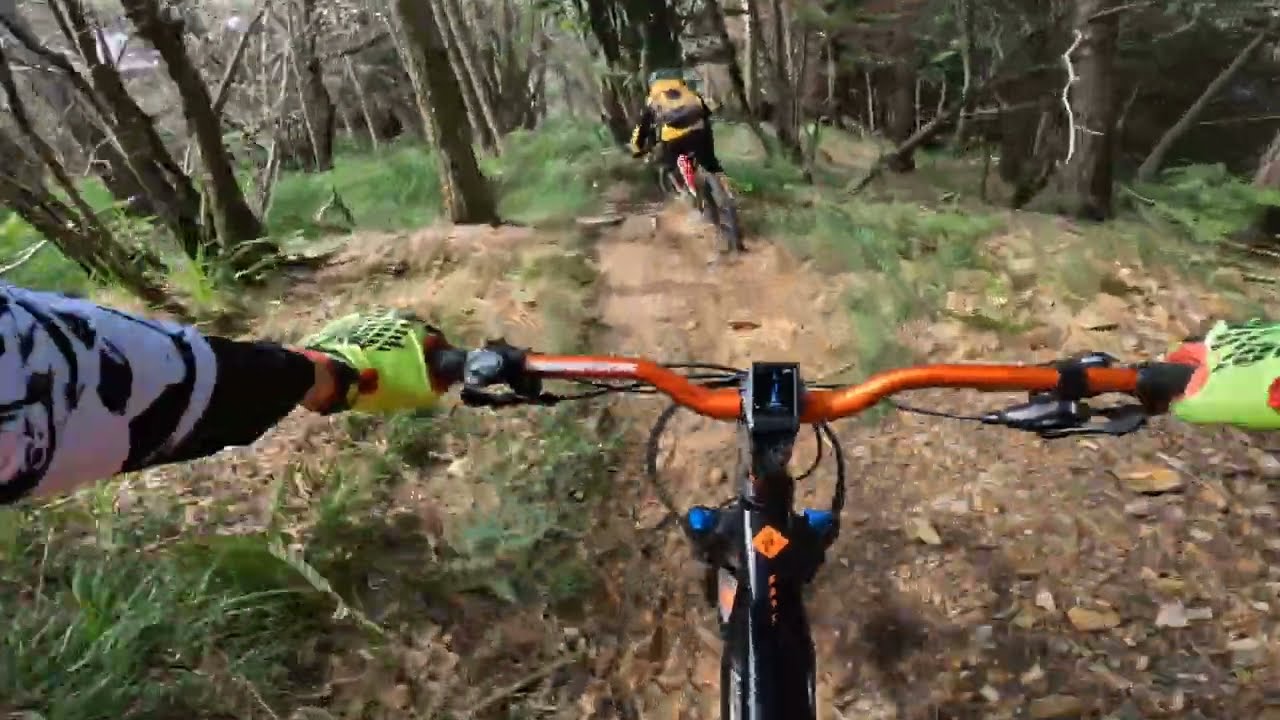 Discesa Bondella DH + Pinera