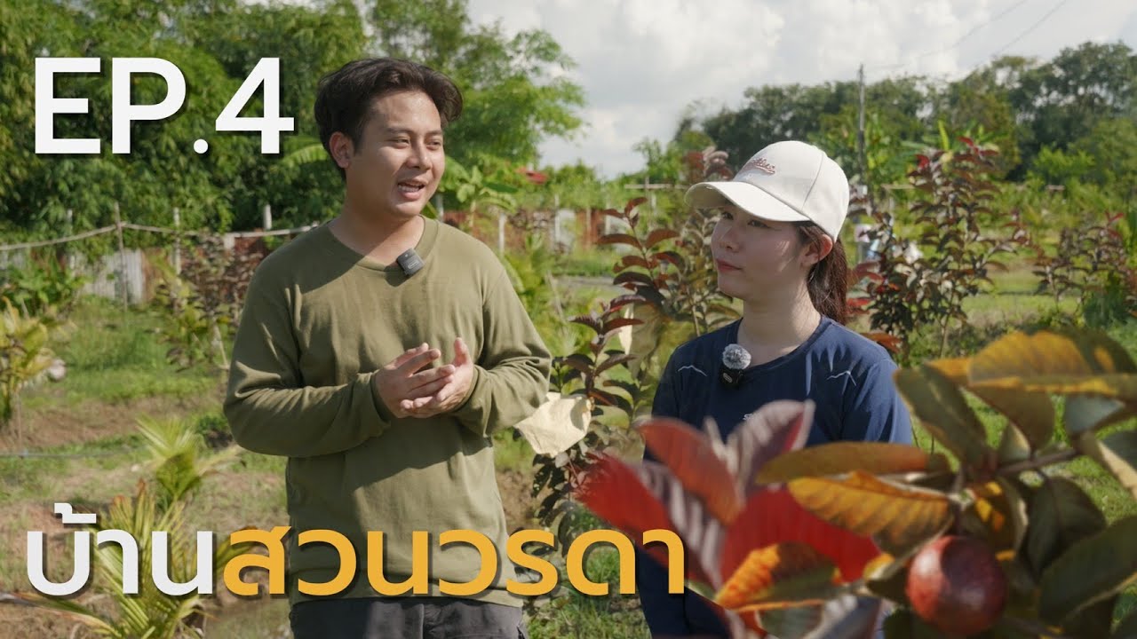 Agri Sight EP4: บ้านสวนวรดา – ปลูกฝรั่งด้วยใจ สร้างอาชีพอย่างยั่งยืน