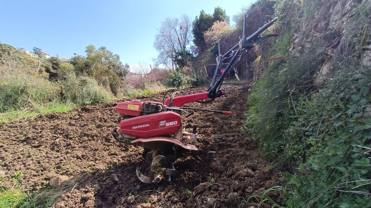 Motozappa Honda F560 AGRI & MOTORI dal vivo.