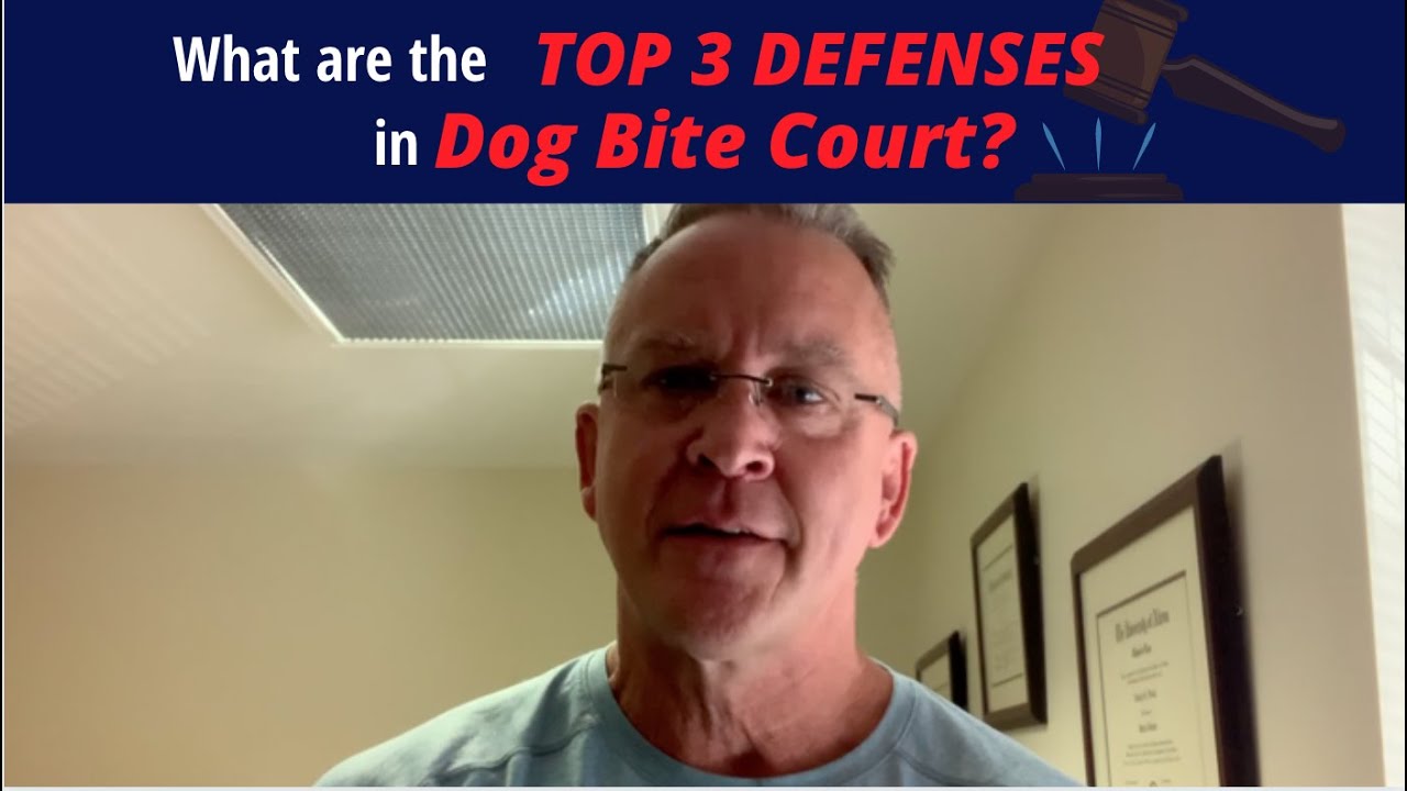 Top 3 Defenses used in Ohio Dog Bite Court