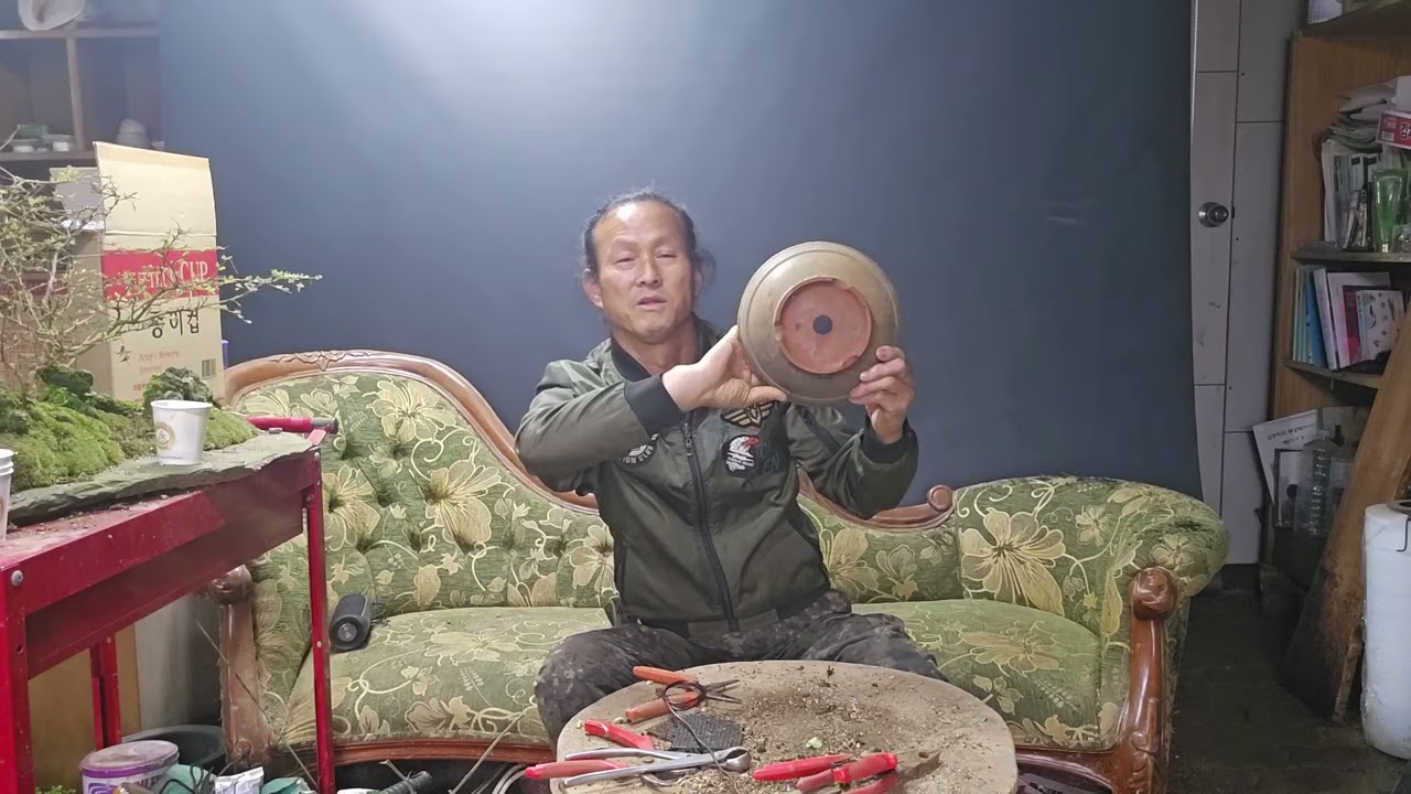 명자나무 로 분재  만들기 첫단계