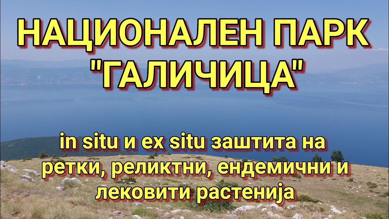 ЕНДЕМИЧНИ, РЕТКИ, РЕЛИКТНИ РАСТЕНИЈА НА ГАЛИЧИЦА И НИВНА „EX SITU“ ЗАШТИТА