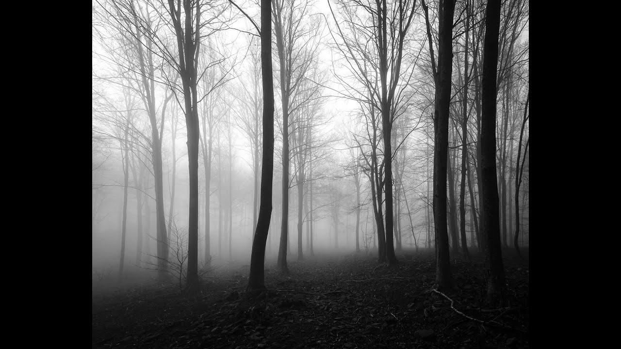 Memorial Dan Air - El Montseny