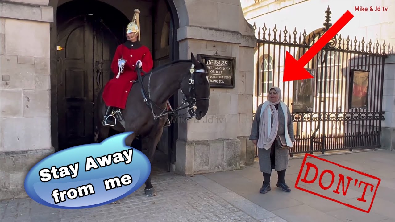 KING’S HORSE DOESN’T LIKE THiS TOURIST! WATCH HOW THIS HORSE REACTS! | DON’T MESS WITH HIM!