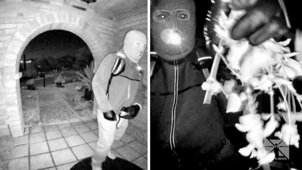 Search for Nancy Guthrie approaches one month