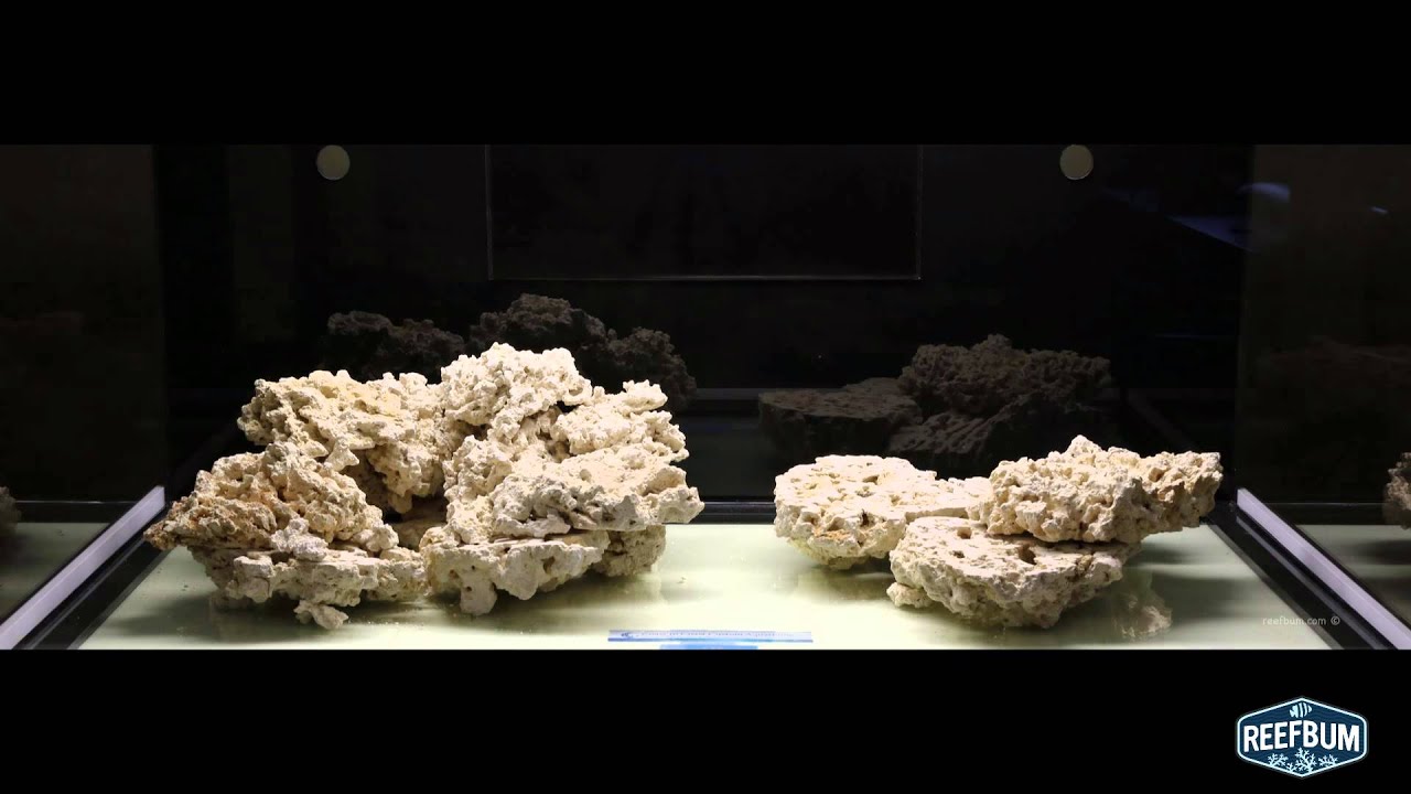 Marco Rocks Aquascape Time-Lapse Video