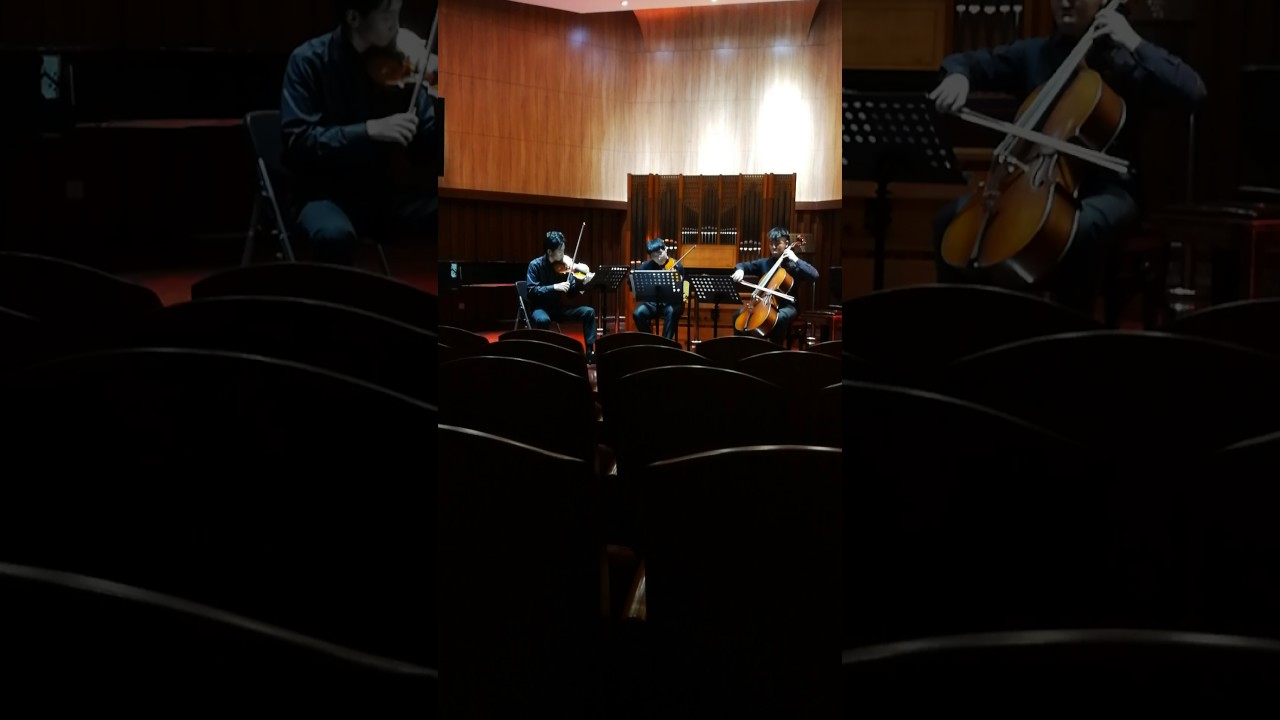 Adolphe Blanc trio op25 (4th.mov.)FINALE