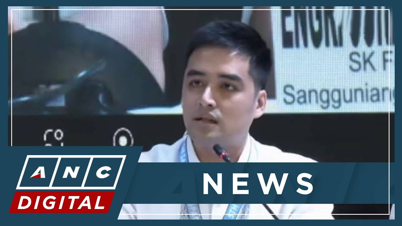 Pasig Mayor Vico Sotto backs passage of anti-political dynasty law | ANC