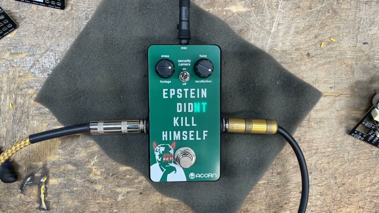 Epstein Didn't Kill Himself fuzz pedal - Acorn Amps