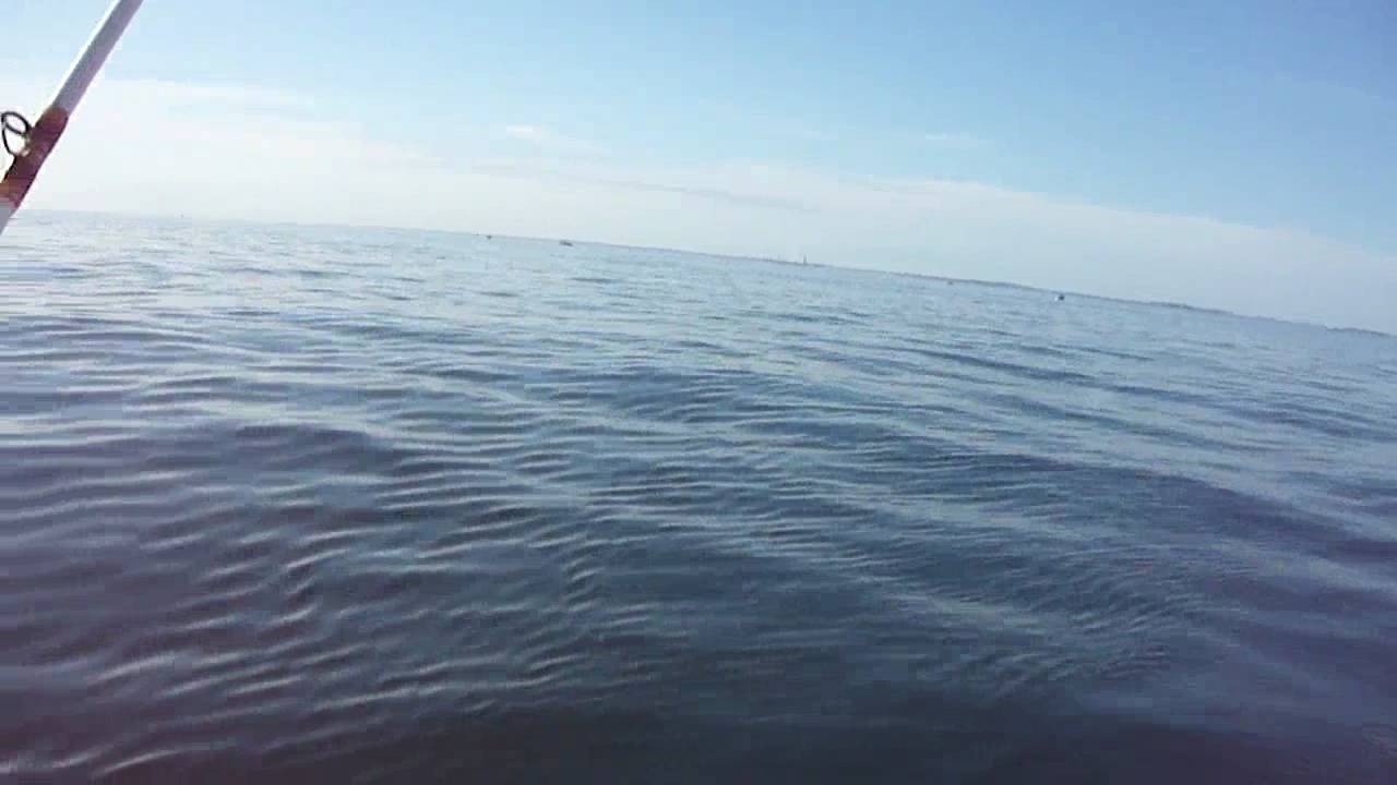marinho parana