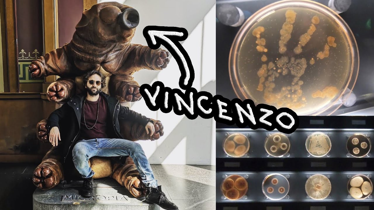 Un museo su virus e batteri