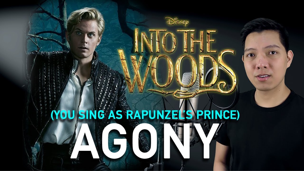 Agony (Cinderella's Prince Part Only - Karaoke) - Into The Woods
