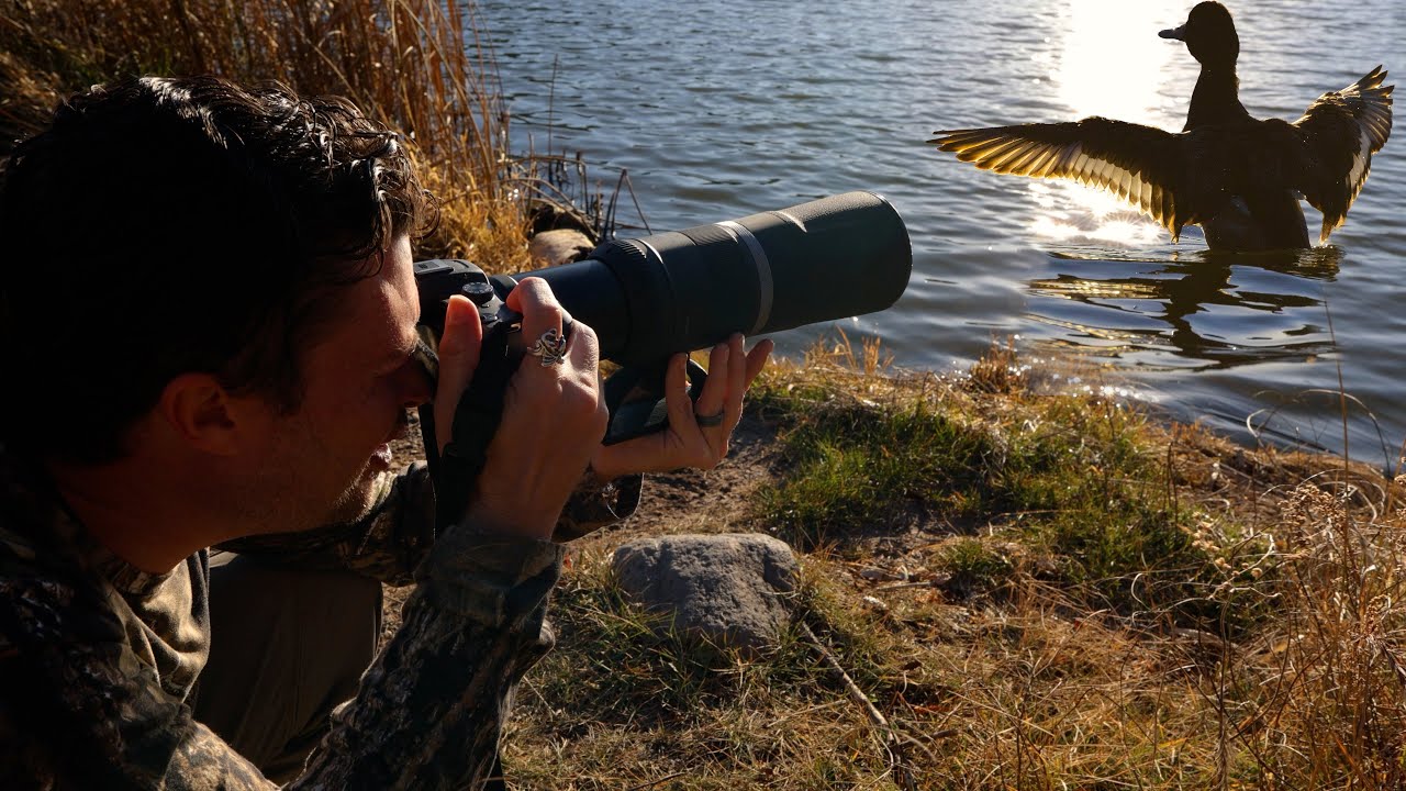 WILDLIFE PHOTOGRAPHY Q & A: RF 100-400 & RF 800 VS 100-500 And Does Camo Work?
