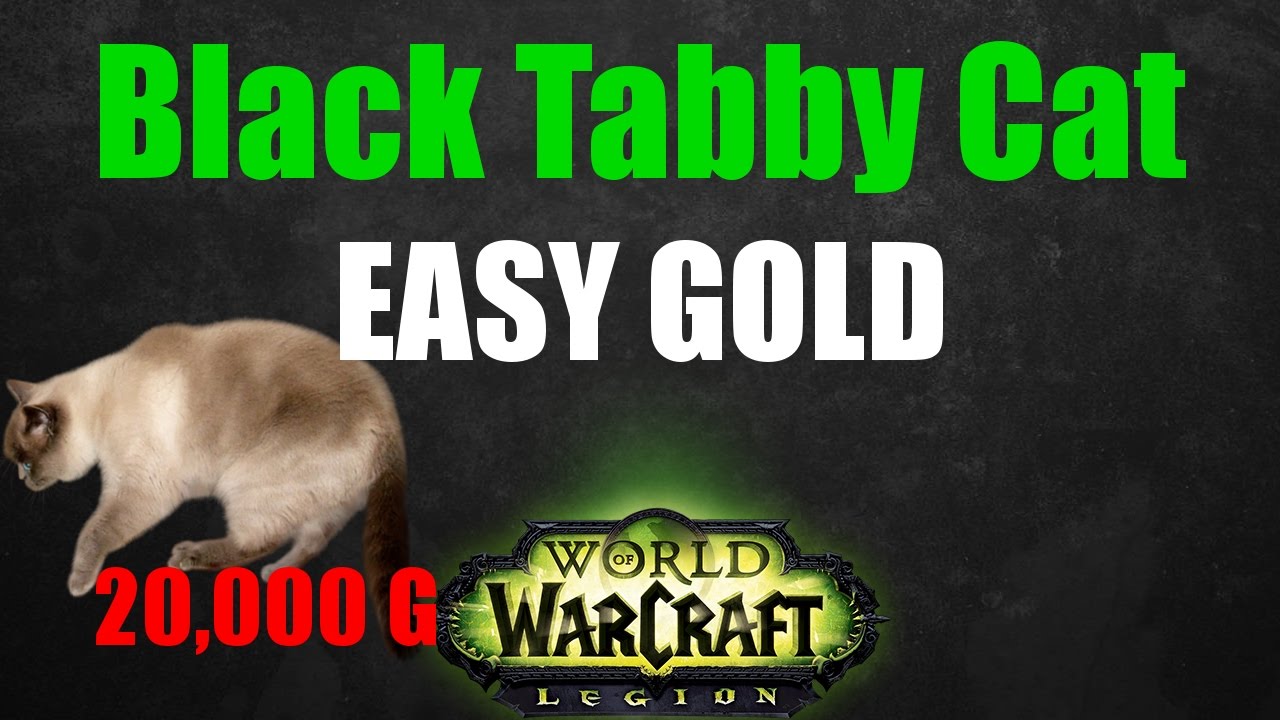 Legion Gold Farm - Black Tabby Cat (lvl +25/trial)