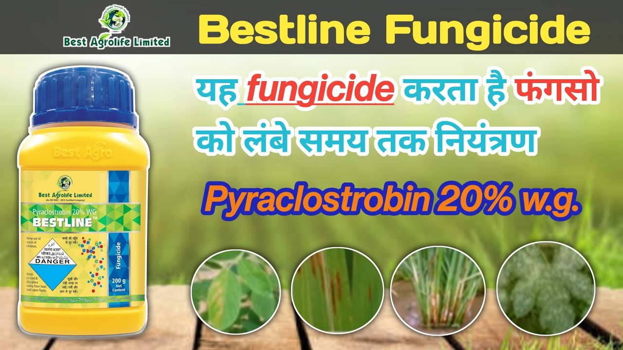 bestline herbicide | Best agrolife | pyraclostrobin 20% w.g. | पूरी जानकारी हिंदी में
