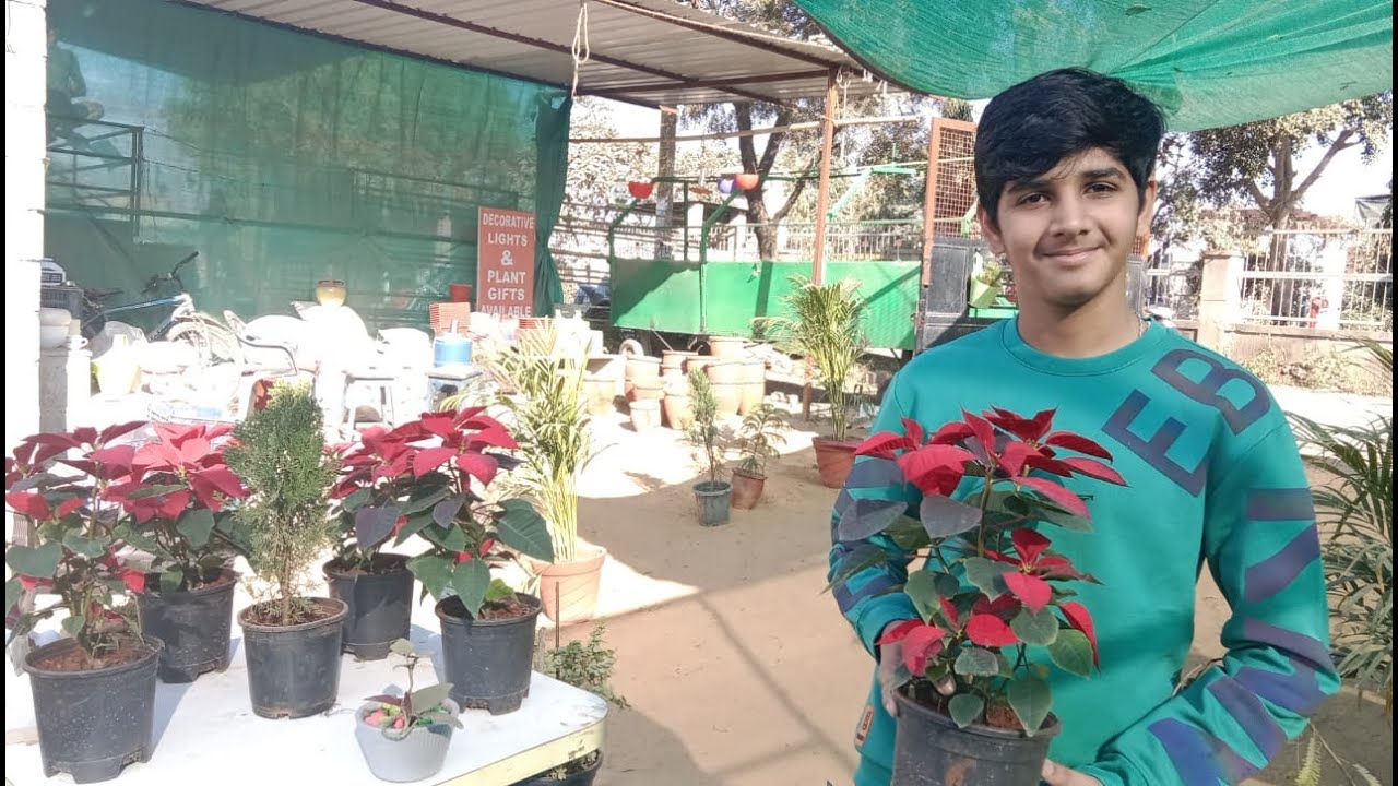Home Gardening Vlog 🌱- @Arnavrajvlogs0912  #gardening #gardeningvlog
