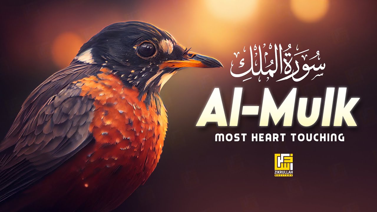 Surah AL Mulk - سورة الملك | A Calming Recitation And Relaxing Voice | Zikrullah Reciters