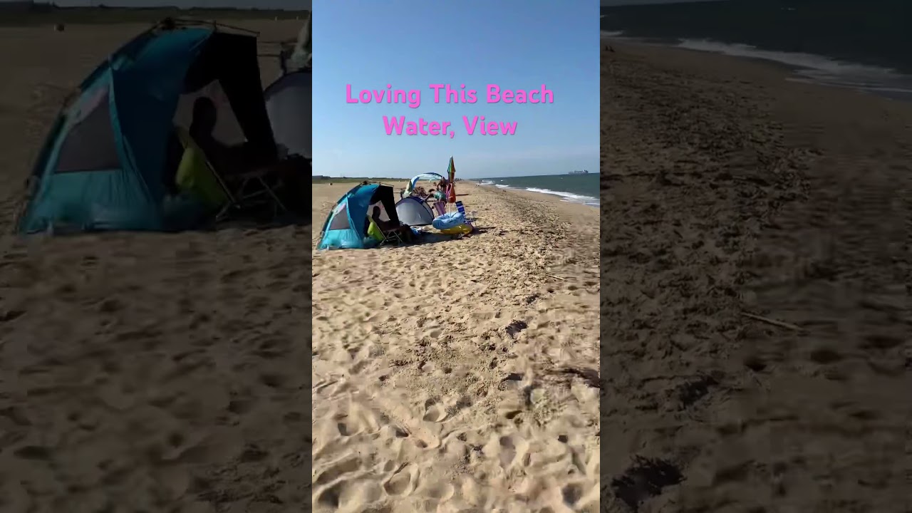 I Just Love Virginia Beach