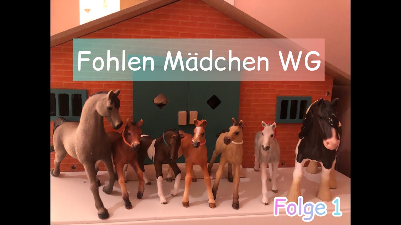 Fohlen Mädchen WG Folge 1