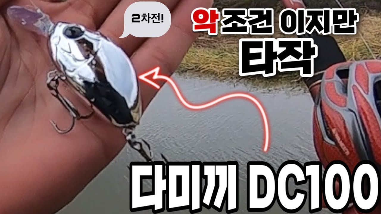 [배스낚시]2차전 왔습니다! 다미끼DC100 너 맘에든다?!#bass #bassfishing #fishing