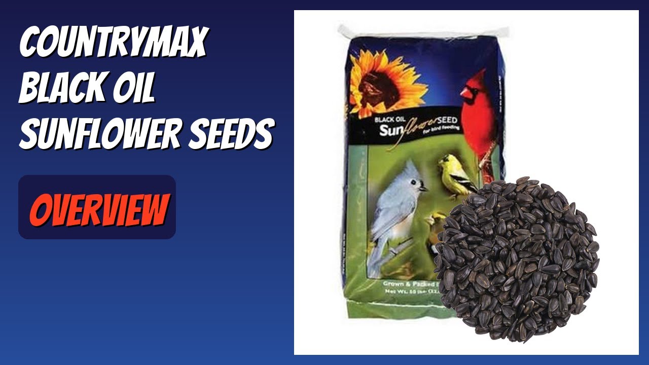 REVIEW (2026): CountryMax Black Oil Sunflower Seeds. Features