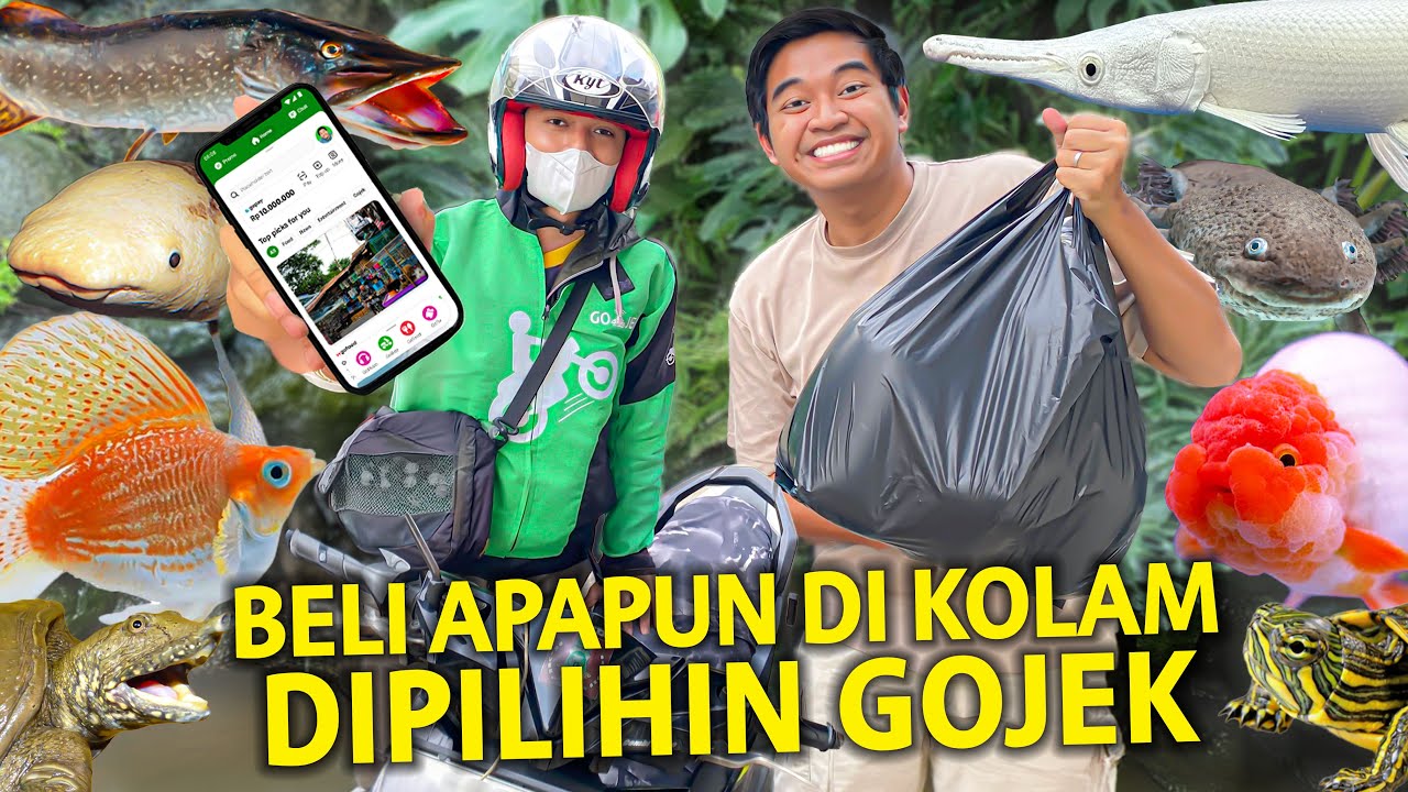BELI APAPUN BUAT DI KOLAM BATU DIPILIHIN OJEK ONLINE! KASIH RP 200.000 DAPET BANYAK BANGET!