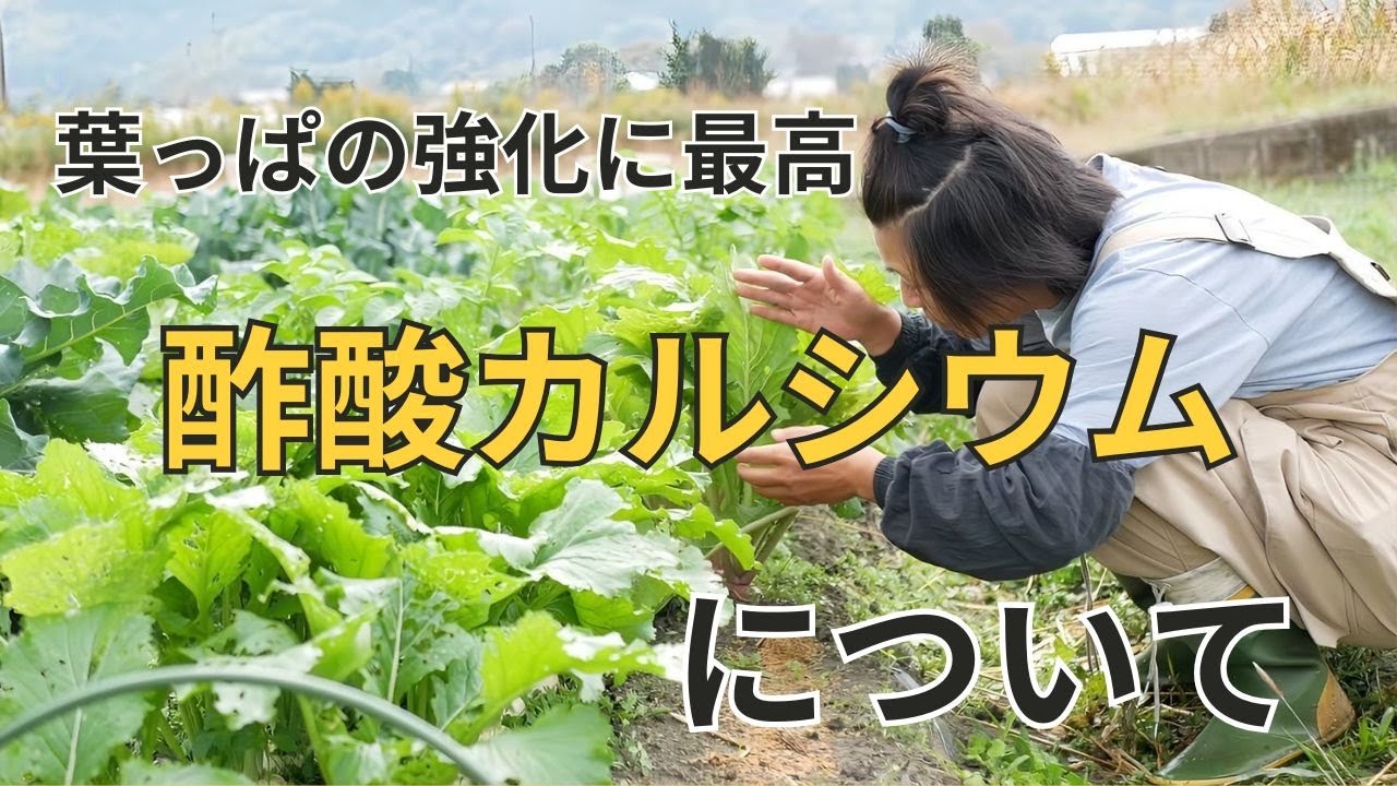 酢酸カルシウムについて