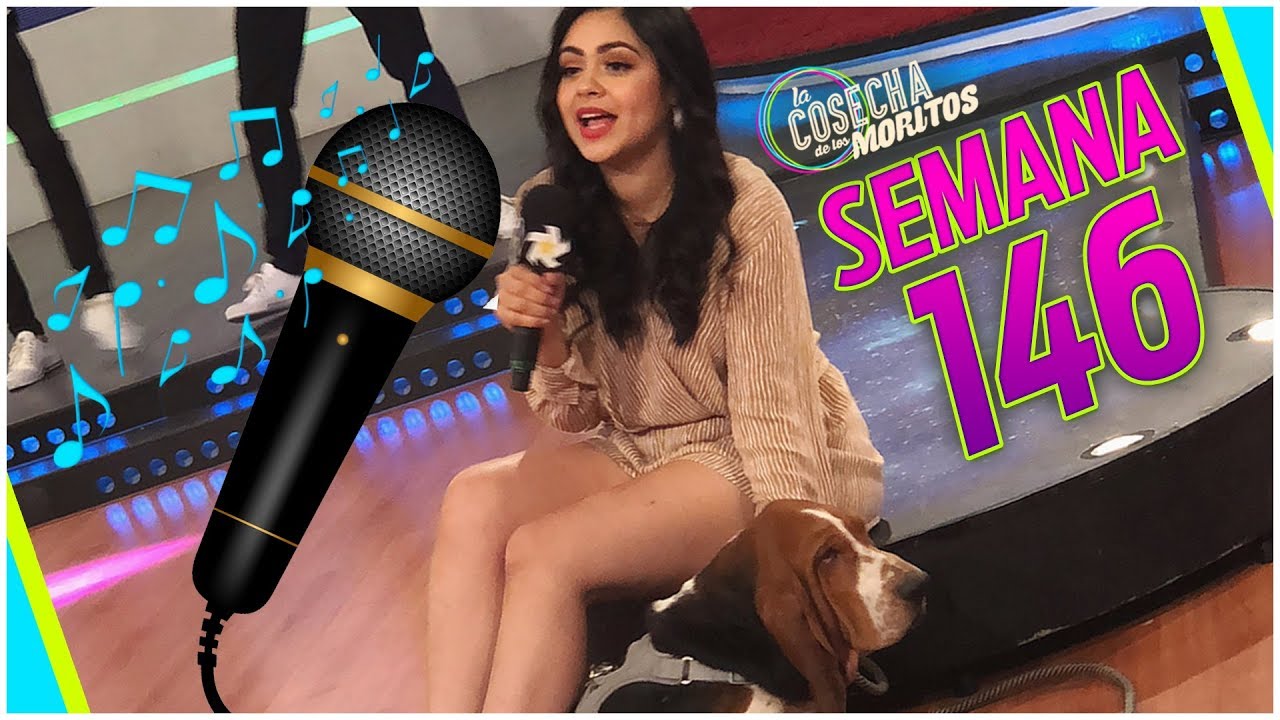 SEMANA 146 / MATEO SUPER ESTRELLA
