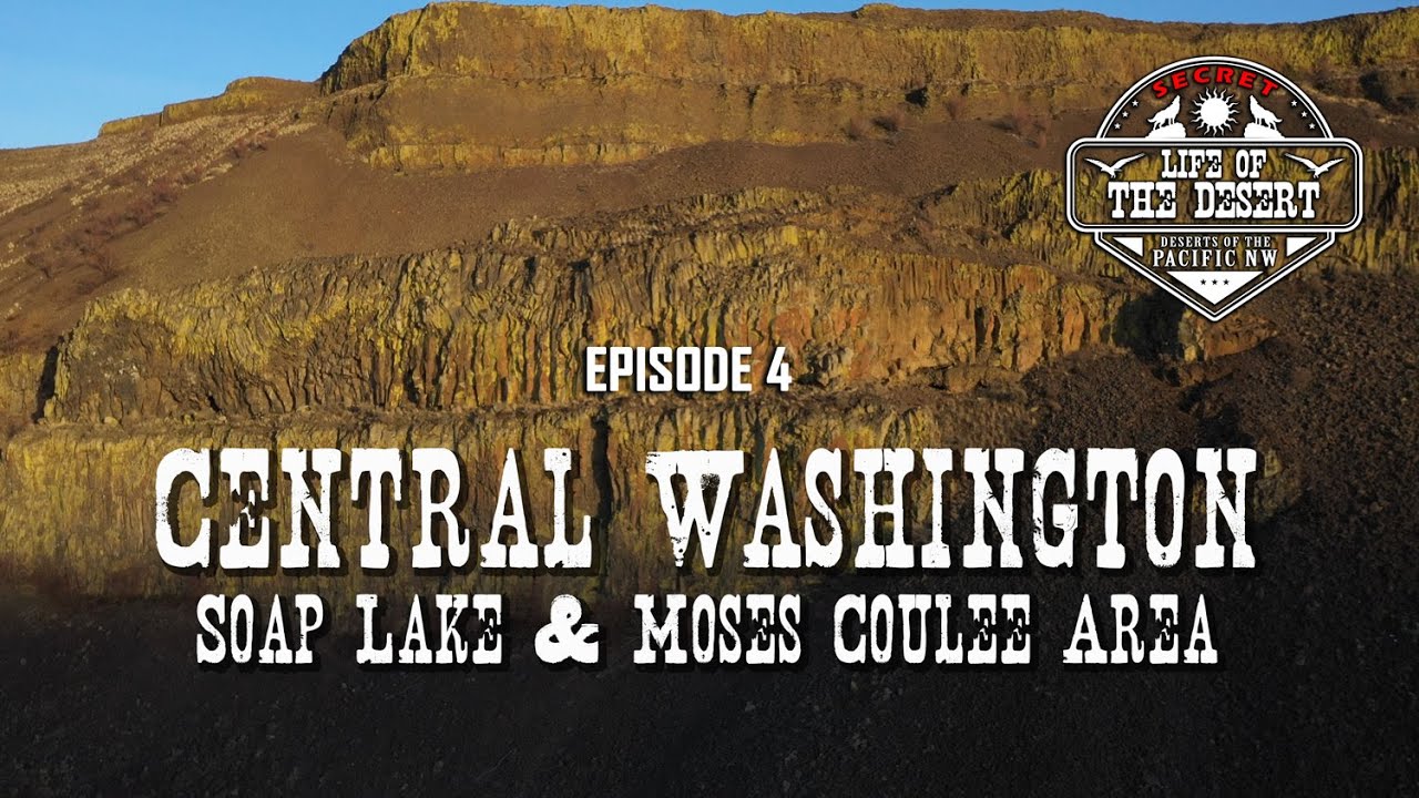 Central Washington:  Soap Lake and Moses Coulee Area