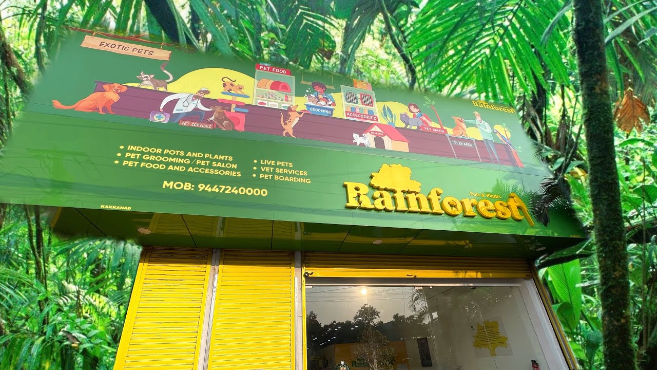 കേരളത്തിലെ എറ്റവും വലിയ Exotic Pets Store 😱🔥| Rainforest Pets and Plants |