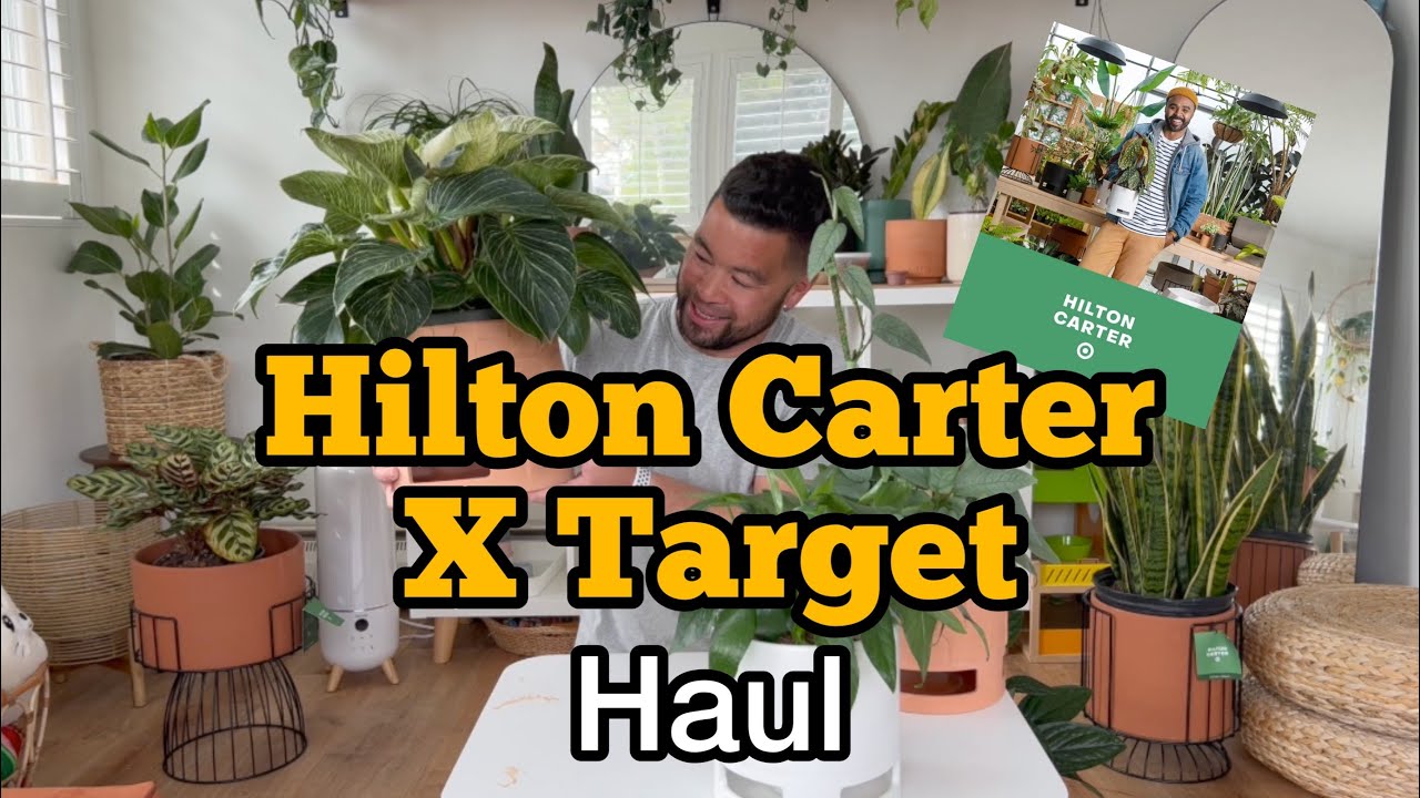 Hilton Carter x Target Haul