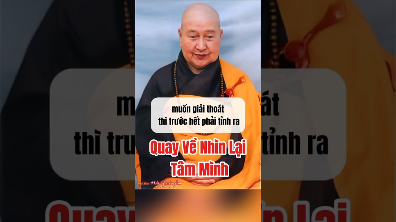 Quay Về Soi Lại T&acirc;m M&igrave;nh | Sư B&agrave; Hải Triều &Acirc;m  #tinhdophapam