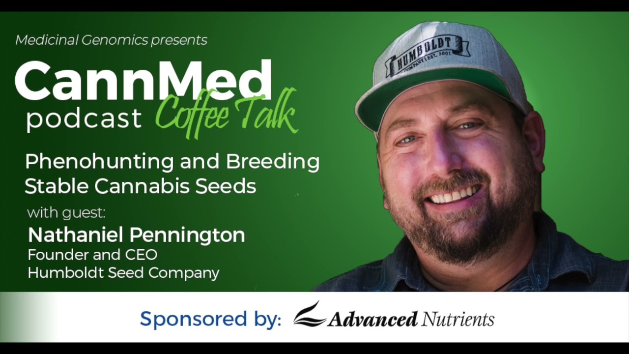 Phenohunting and Breeding Stable  Cannabis Seeds with Nathaniel Pennington