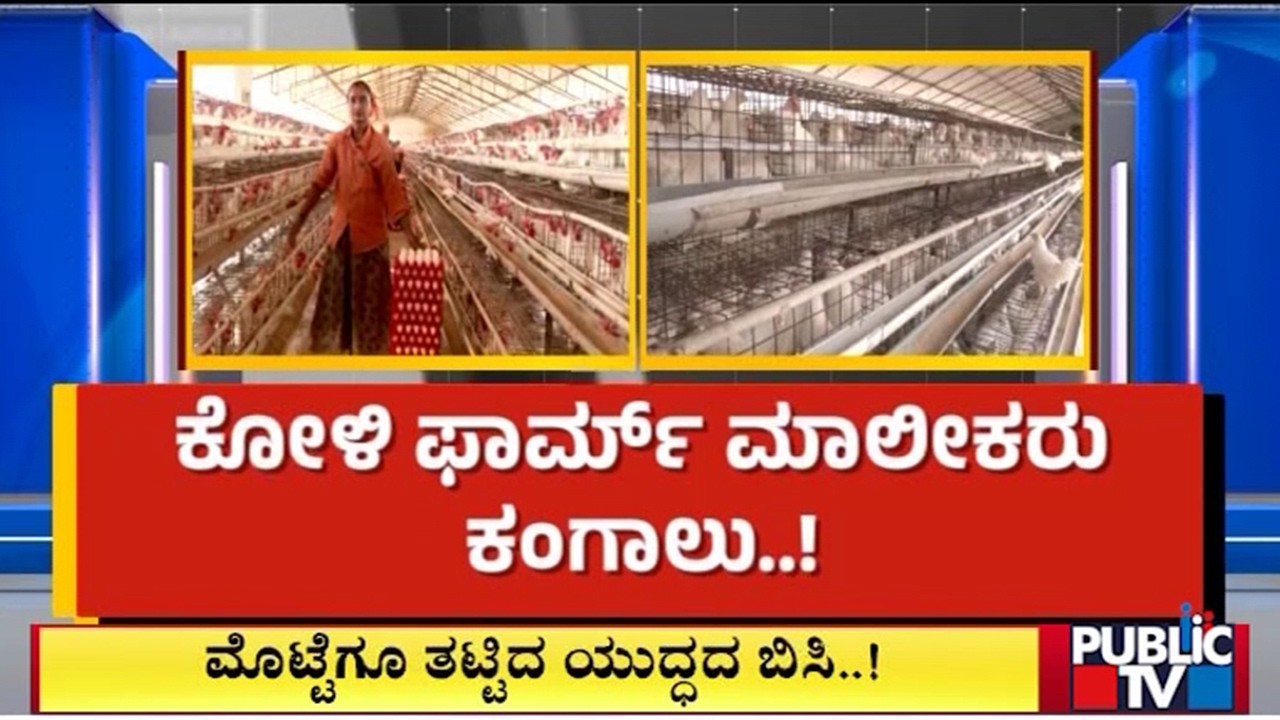 ಮೊಟ್ಟೆಗೂ ತಟ್ಟಿದ ಯುದ್ಧದ ಬಿಸಿ..! | Koppala | Public TV
