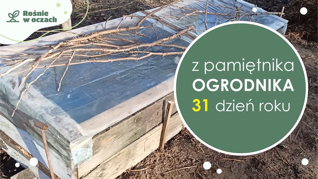 Z pamiętnika ogrodnika - testing ciepłego inspektu i porządki.