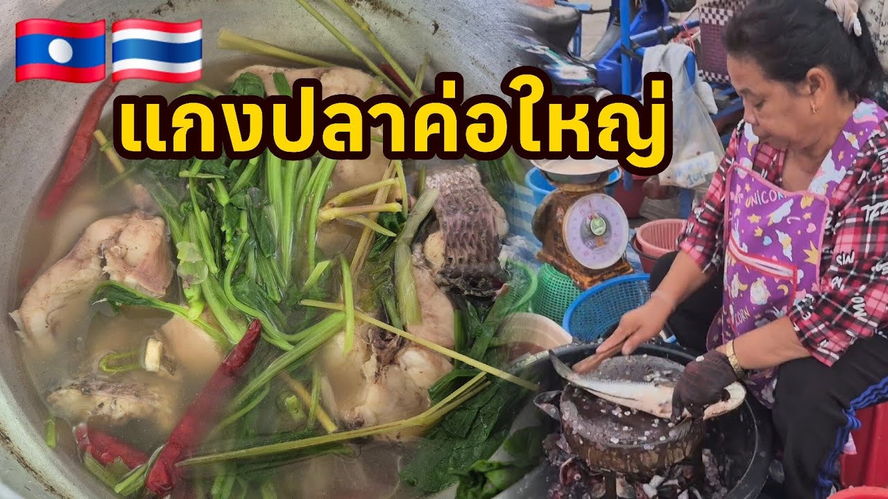 แกงปลาค่อใหญ่ ไปตลาดแต่เช้ากินข้าวก่อน 8โมง 🇱🇦🇹🇭 #thaifood #สาวลาว 