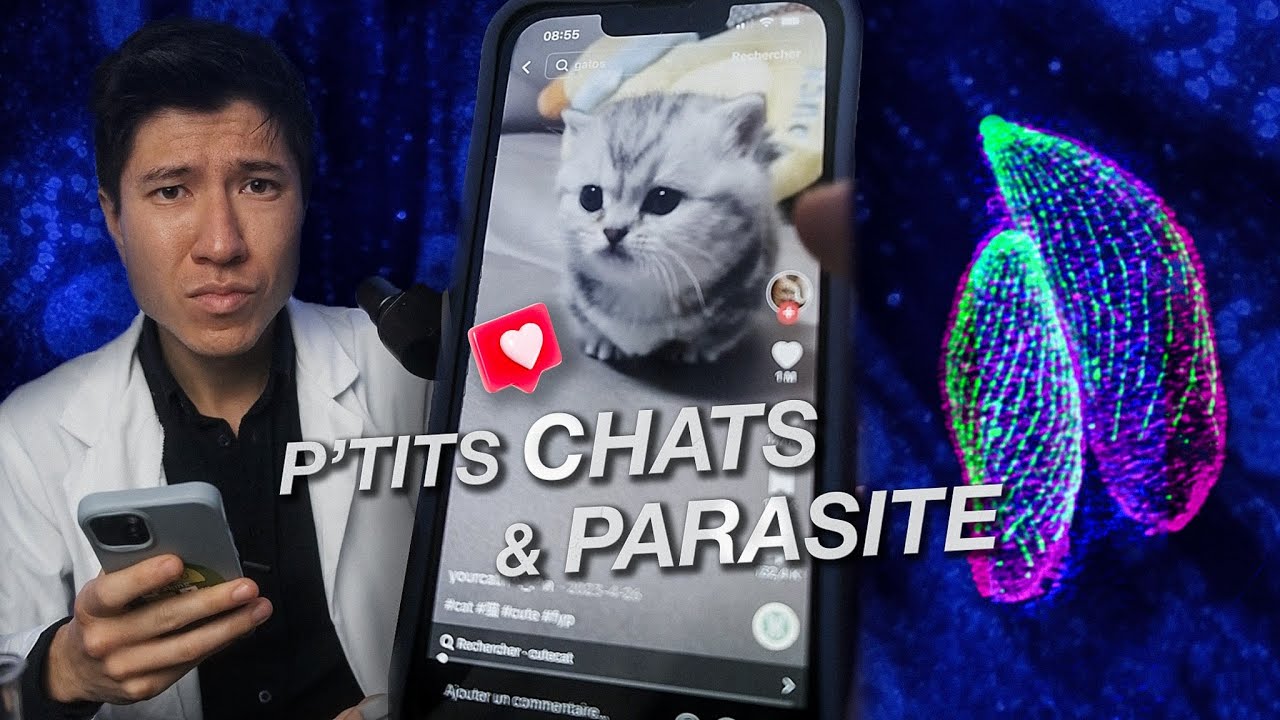 TOXO : Une histoire de CHATS et de PARASITE potentiellement mortel !  @Inserm