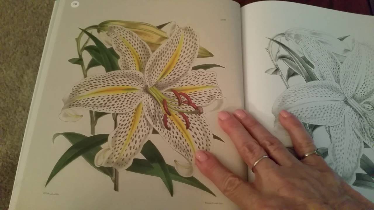 The Kew Gardens Flowering Plants Coloring Book