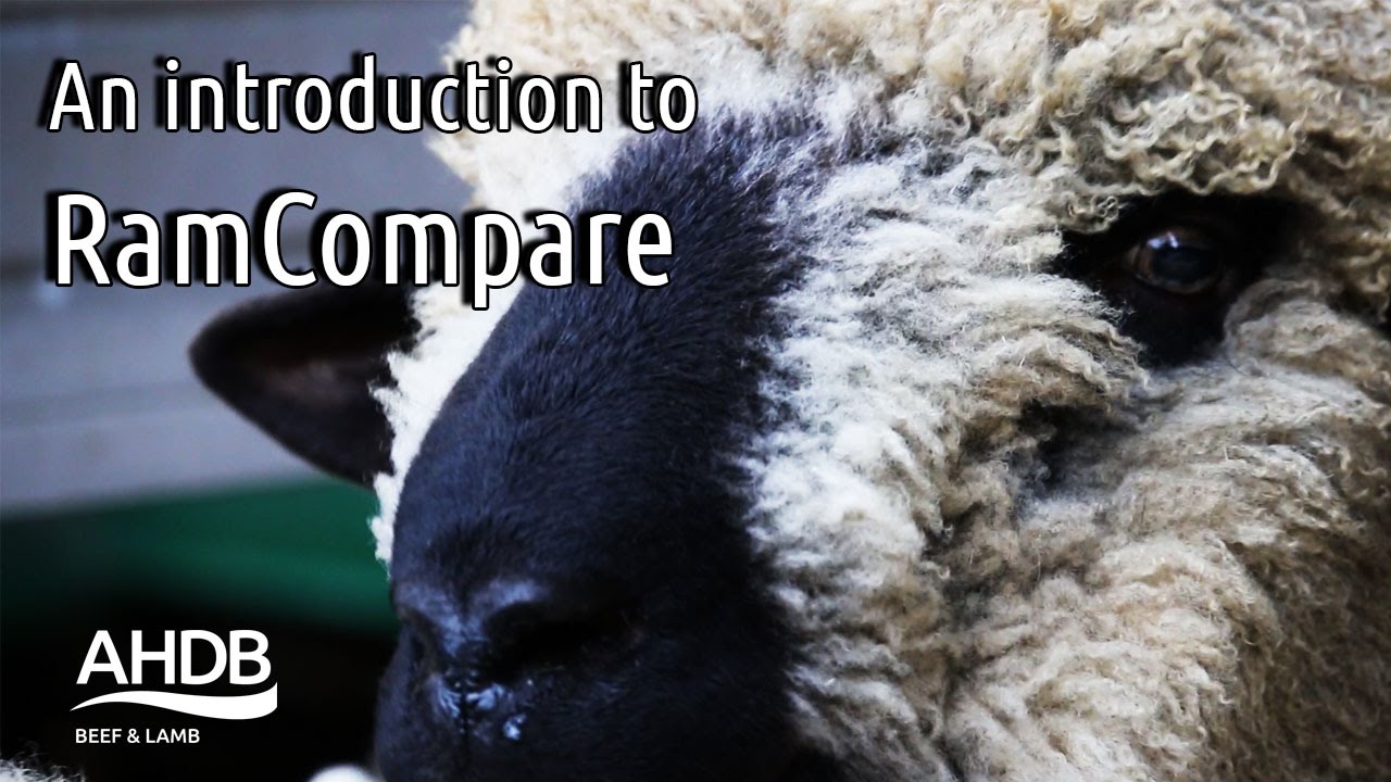 An introduction to RamCompare
