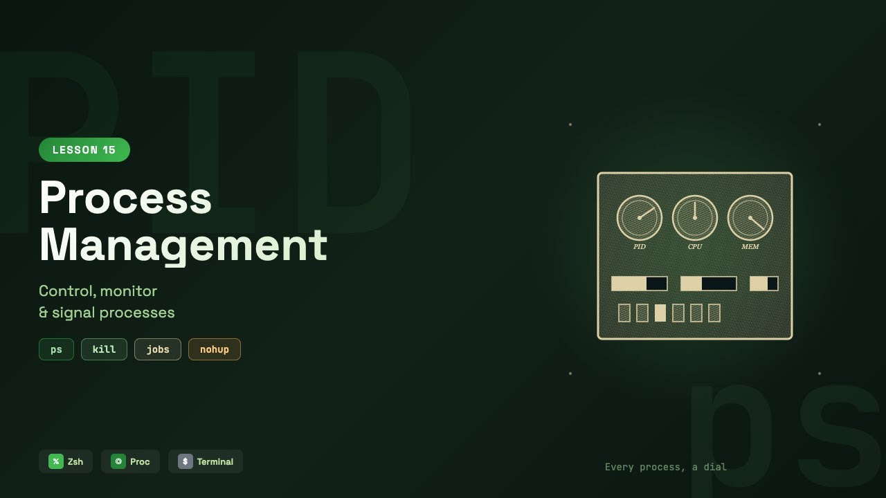 Zsh Process Management — Control, Monitor & Signal Processes  #15
