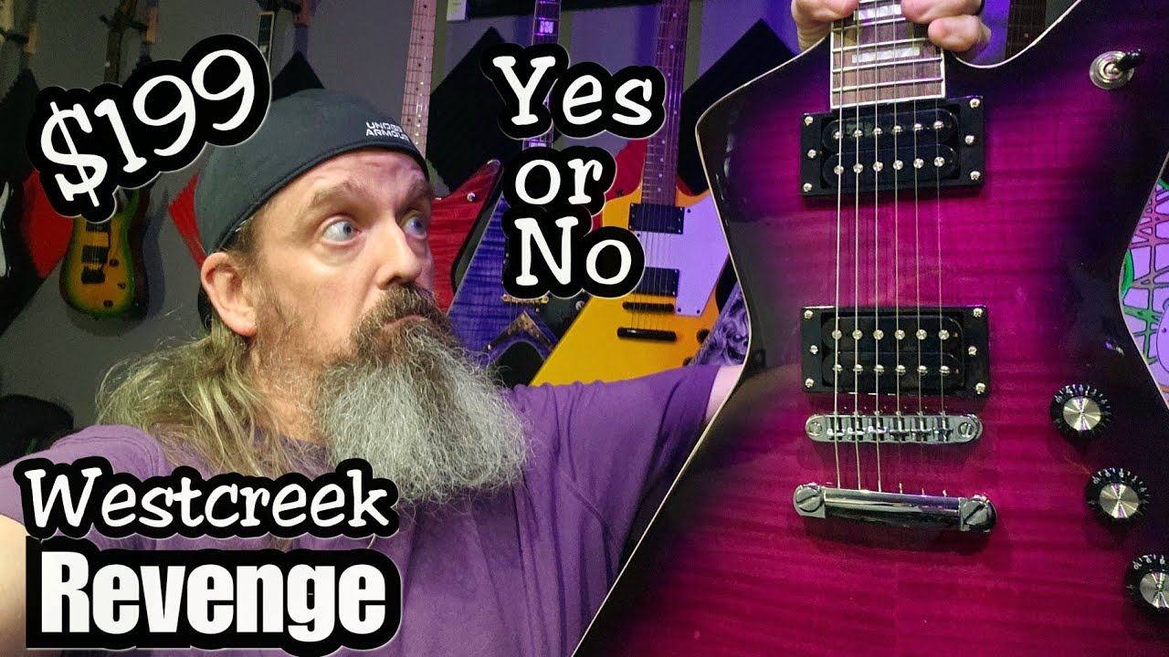 Is the Purple Guitar a Good Investment?