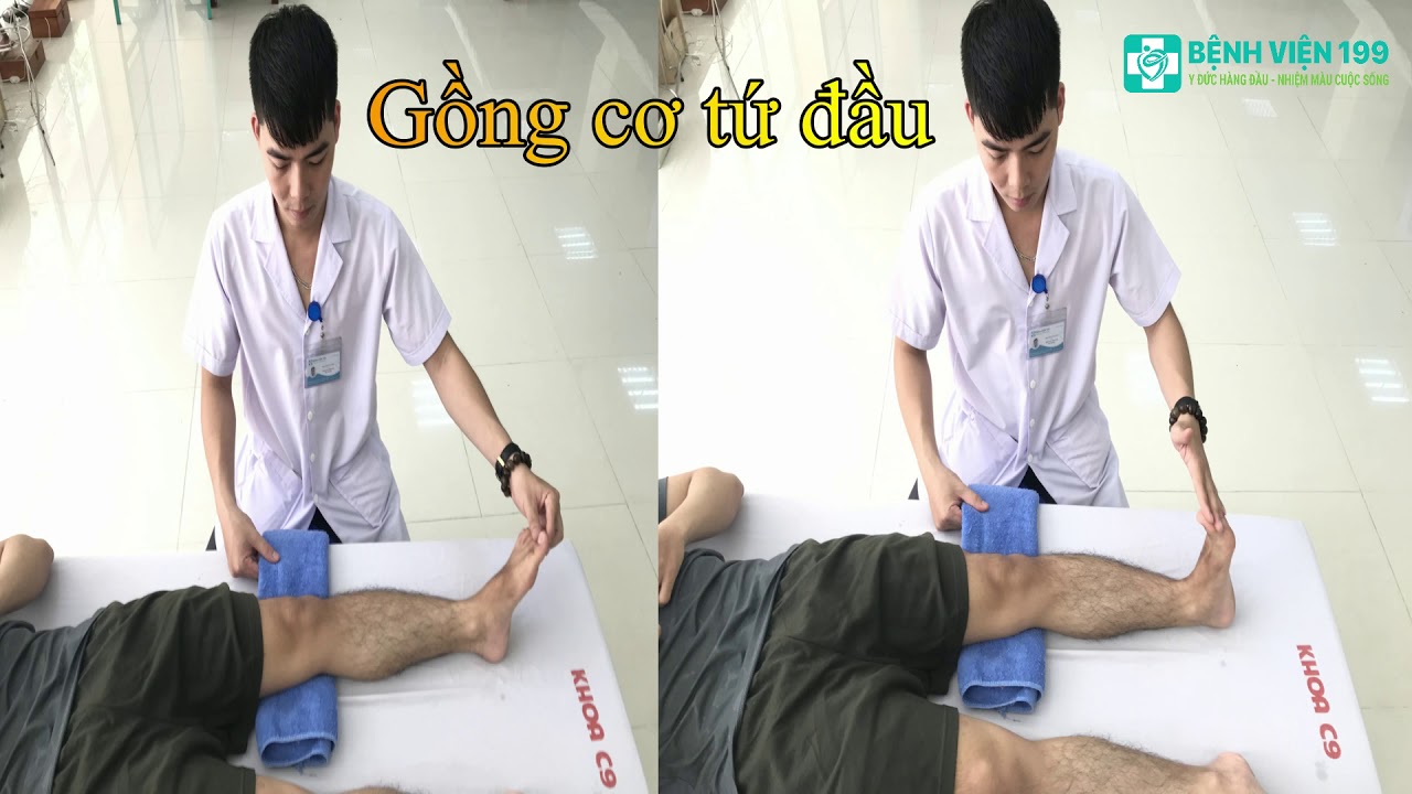 Phục hồi sau mổ tái tạo dây chằng chéo trước Giai Đoạn 1 ( Tuần 1-2 ) - Khoa PHCN - Bệnh Viện 199