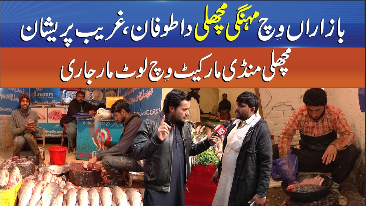 Fish Market Situation - Expensive Fish Storms the Markets, Poor Consumers in Trouble - Punjab Alert