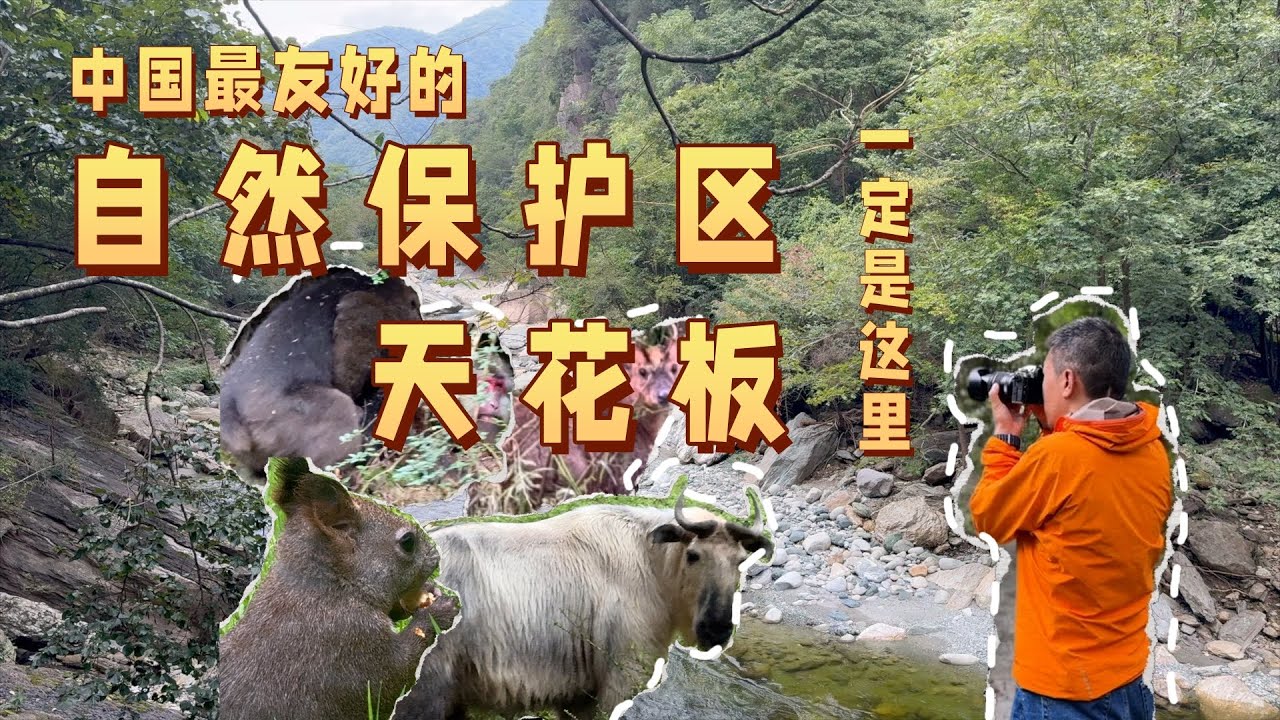 中国最友好的自然保护区天花板一定是这里The Most Welcoming Nature Reserve in China.
